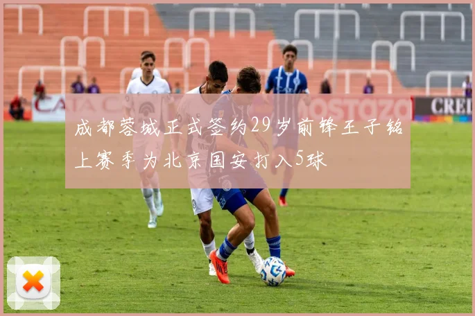 成都蓉城正式签约29岁前锋王子铭上赛季为北京国安打入5球